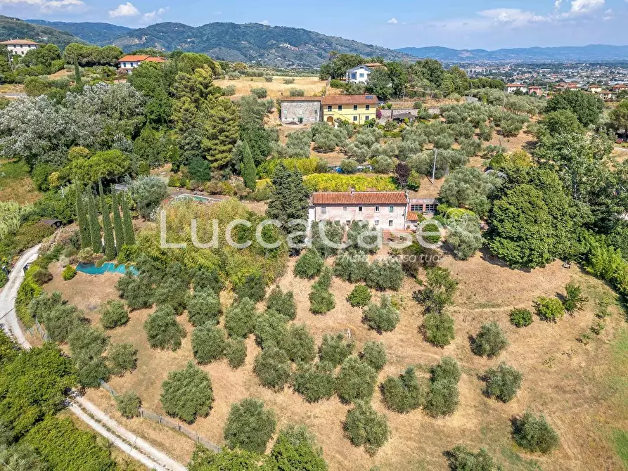 Immagine 5 di Casa colonica in vendita  a Capannori