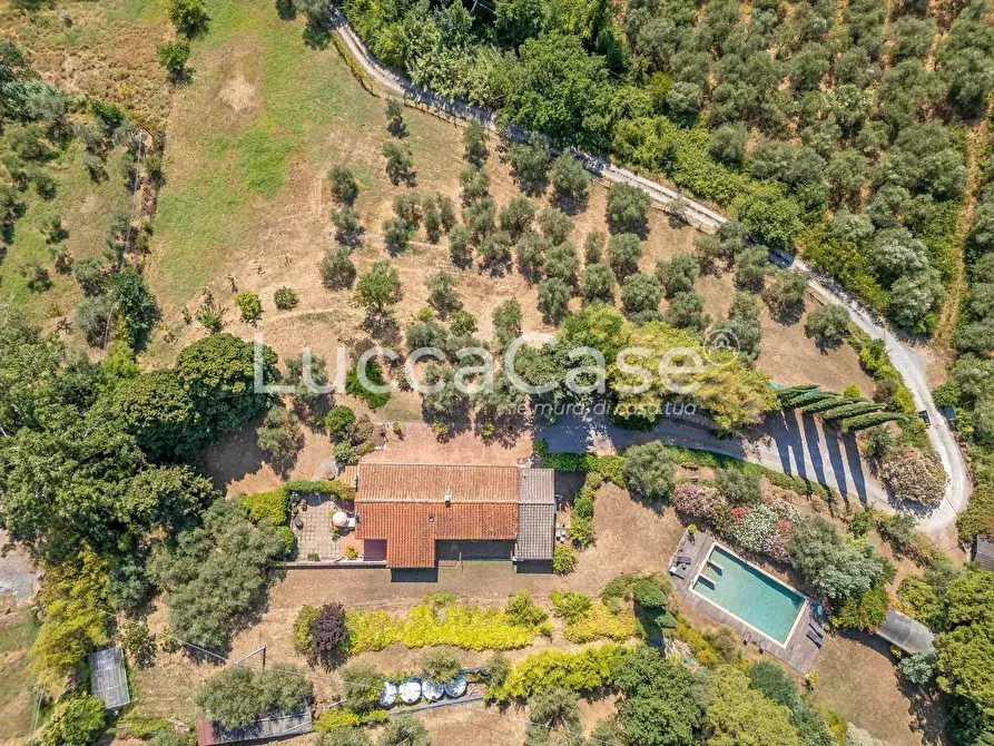 Immagine 16 di Casa colonica in vendita  a Capannori