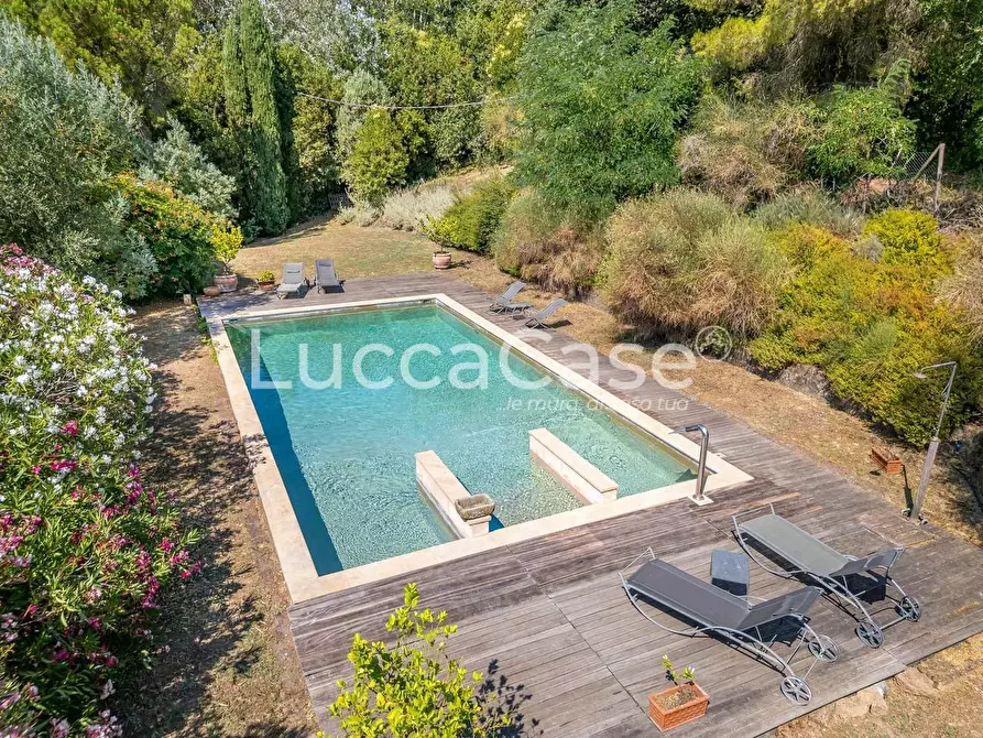 Immagine 7 di Casa colonica in vendita  a Capannori