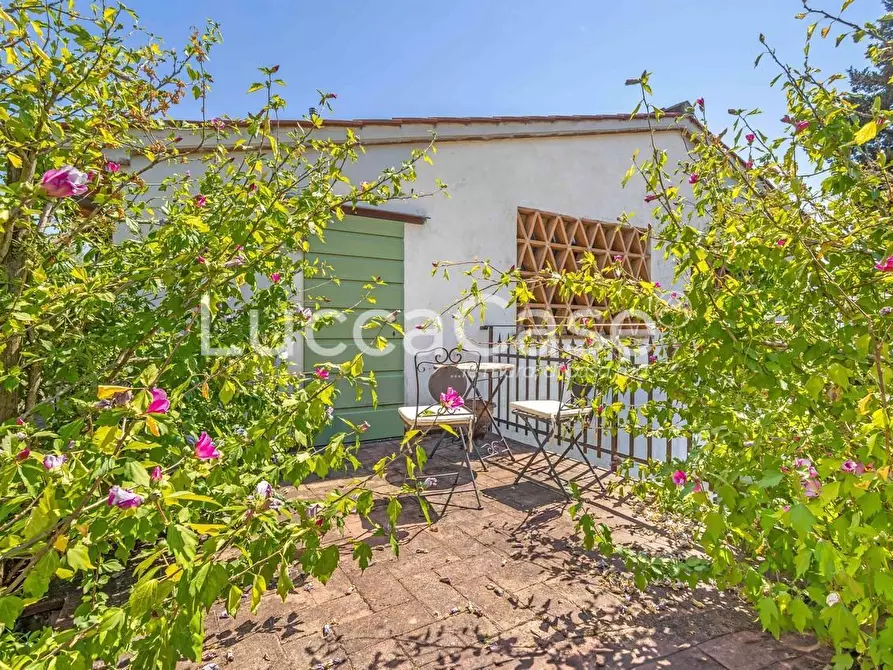 Immagine 30 di Casa colonica in vendita  a Capannori