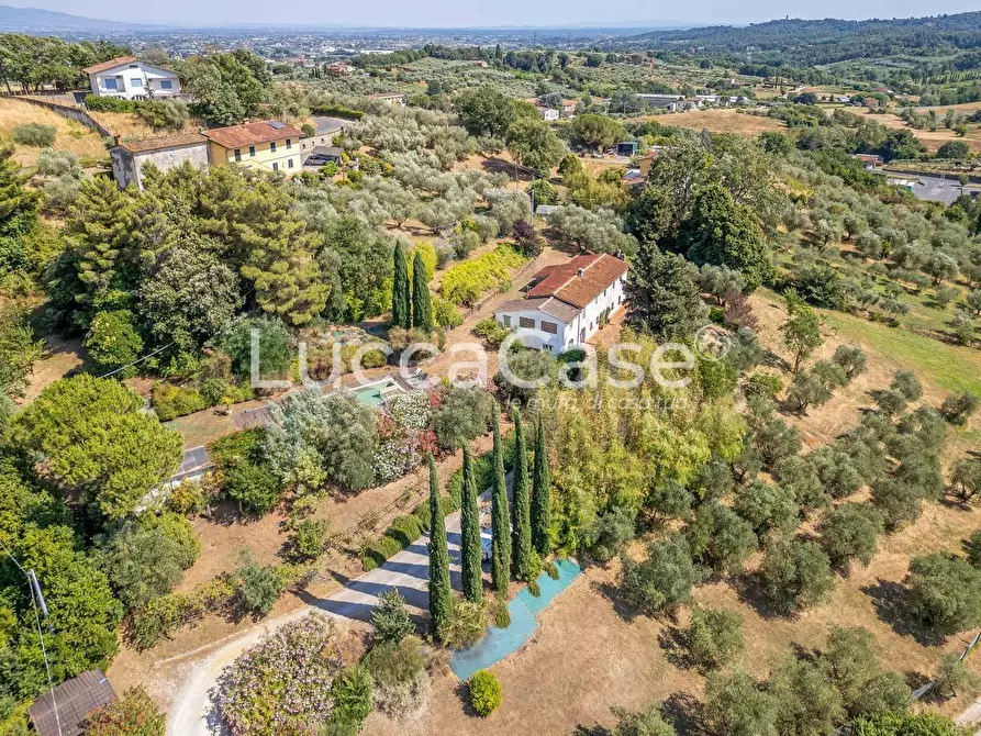 Immagine 11 di Casa colonica in vendita  a Capannori