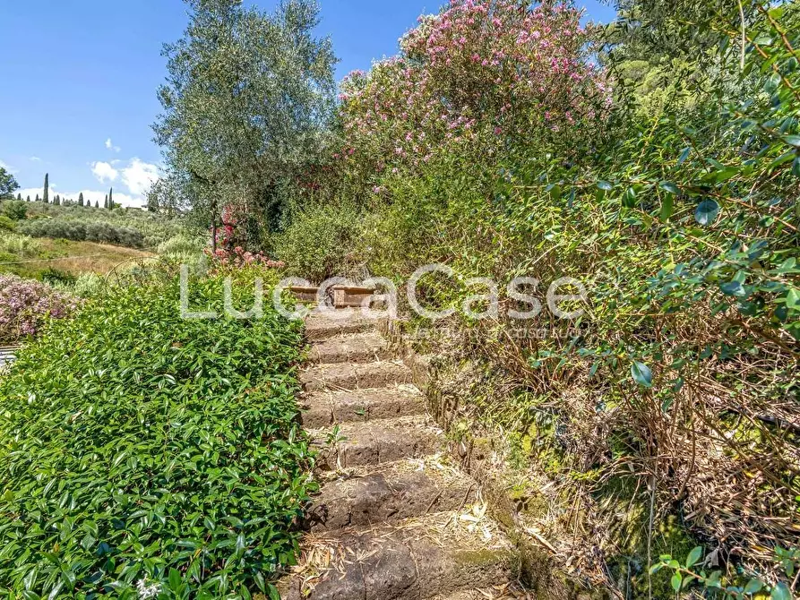 Immagine 23 di Casa colonica in vendita  a Capannori