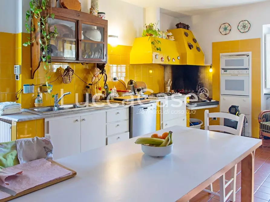 Immagine 15 di Casa colonica in vendita  a Capannori