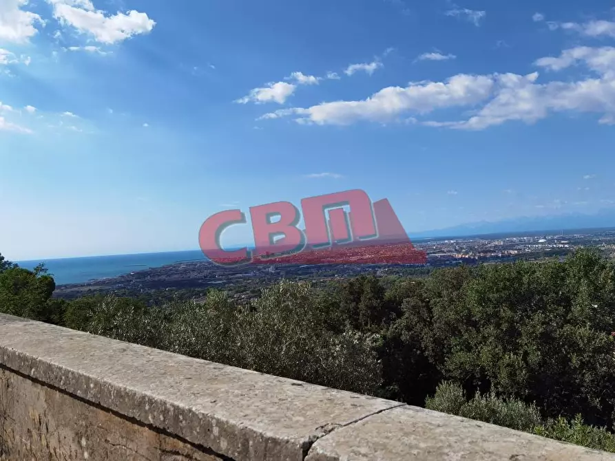 Immagine 33 di Terratetto in vendita  a Livorno