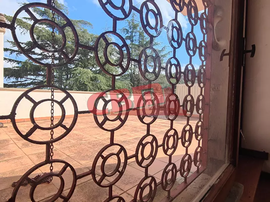 Immagine 9 di Villa in vendita  a Livorno