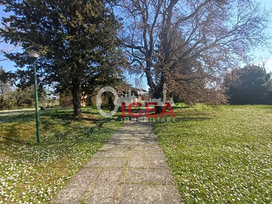 Immagine 4 di Terratetto in vendita  a Castelnuovo Berardenga