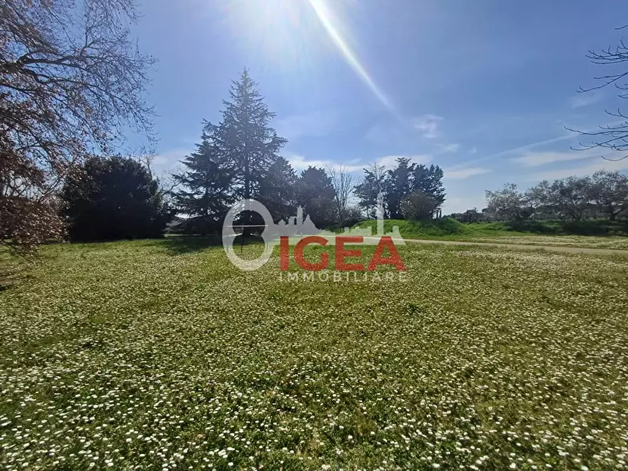 Immagine 3 di Terratetto in vendita  a Castelnuovo Berardenga