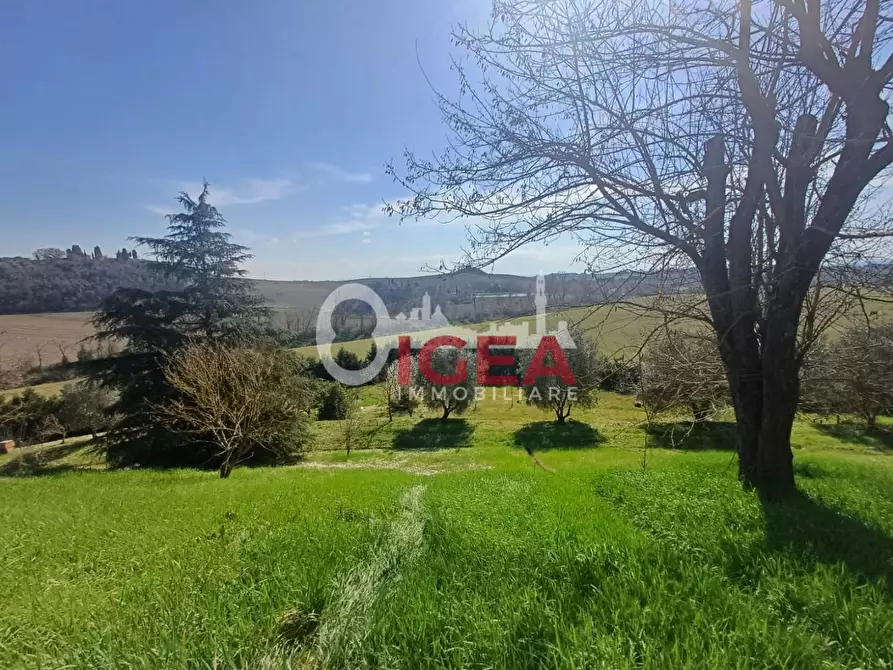 Immagine 5 di Terratetto in vendita  a Castelnuovo Berardenga