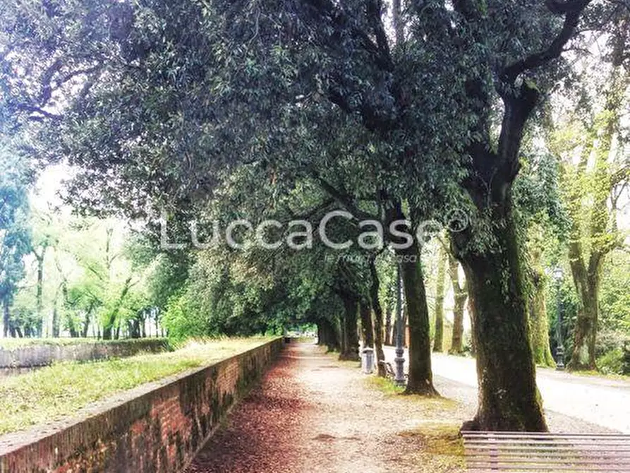 Immagine 22 di Ufficio in affitto  a Lucca