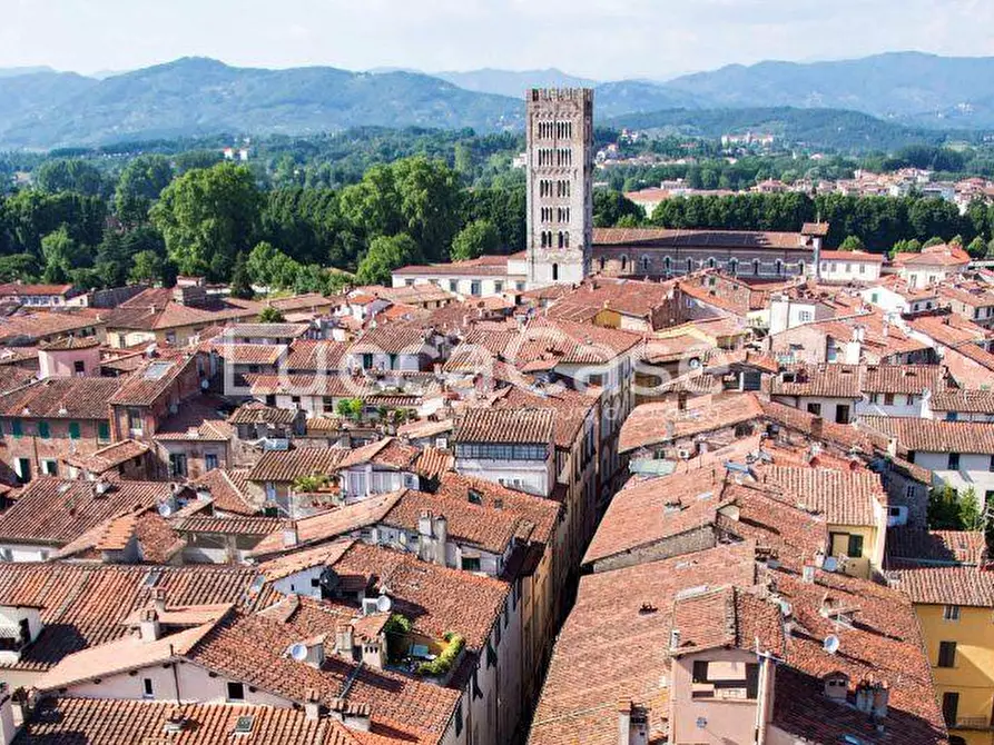 Immagine 21 di Ufficio in affitto  a Lucca