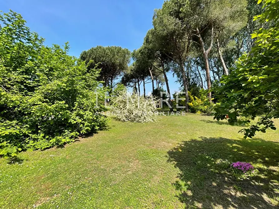 Immagine 21 di Casa bifamiliare in vendita  a Massa