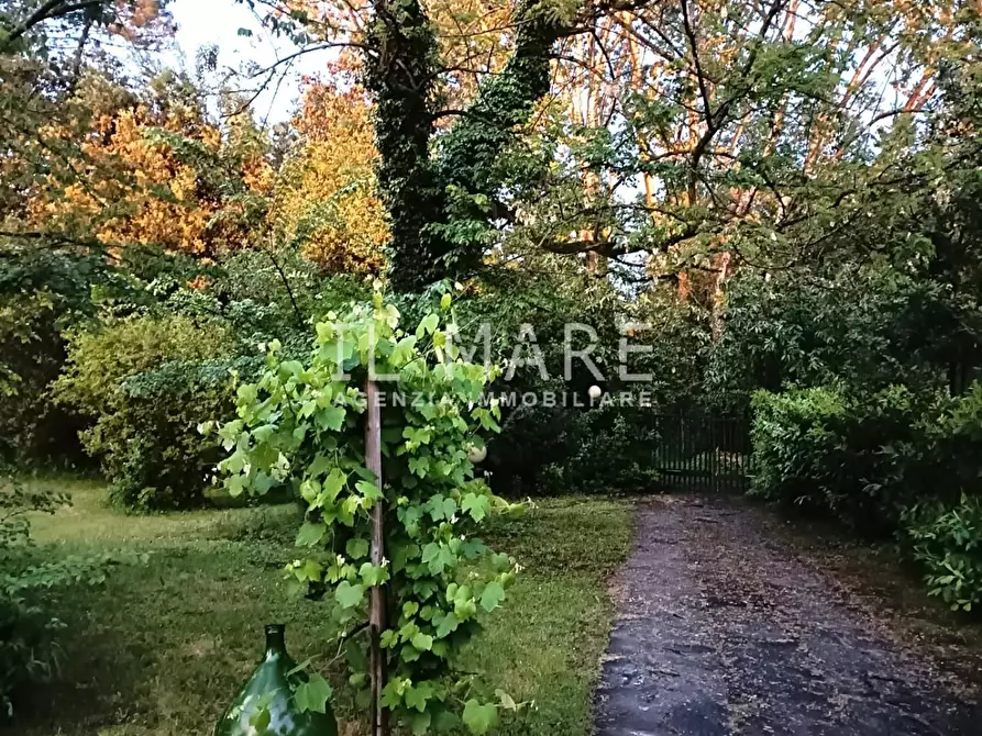 Immagine 29 di Casa bifamiliare in vendita  a Massa