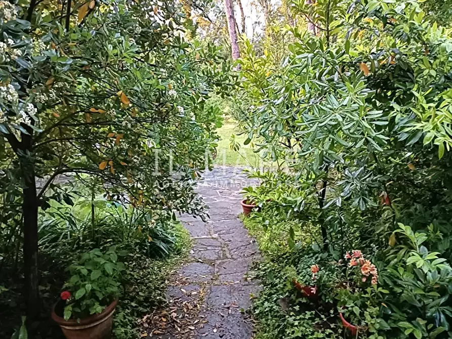 Immagine 31 di Casa bifamiliare in vendita  a Massa