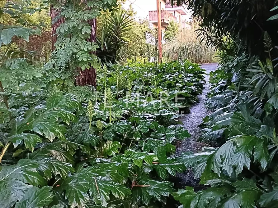 Immagine 26 di Casa bifamiliare in vendita  a Massa