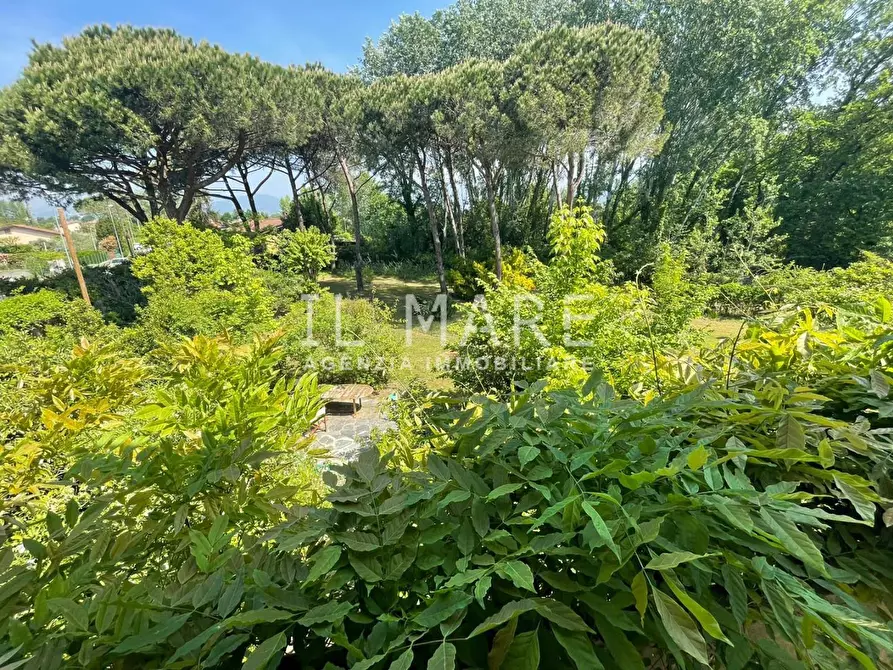 Immagine 22 di Casa bifamiliare in vendita  a Massa