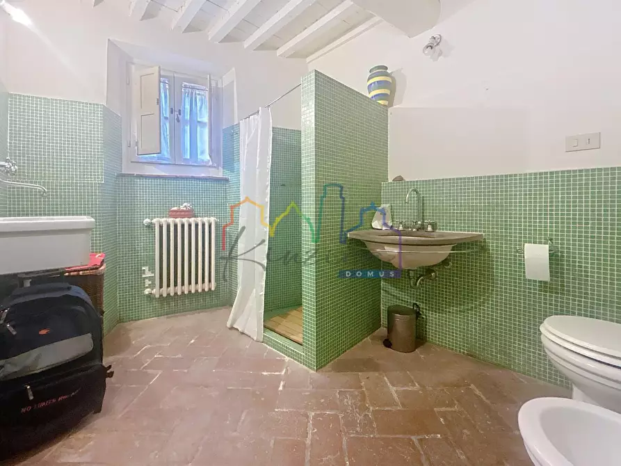 Immagine 16 di Terratetto in vendita  a Calci