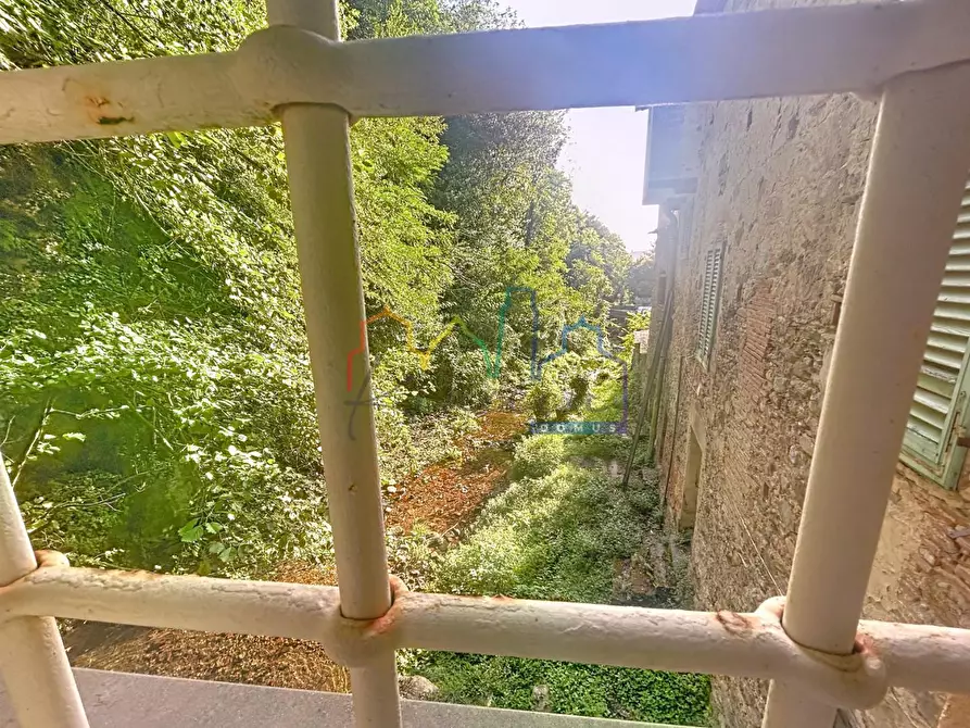 Immagine 14 di Terratetto in vendita  a Calci