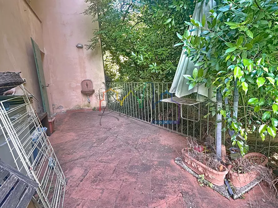 Immagine 8 di Terratetto in vendita  a Calci