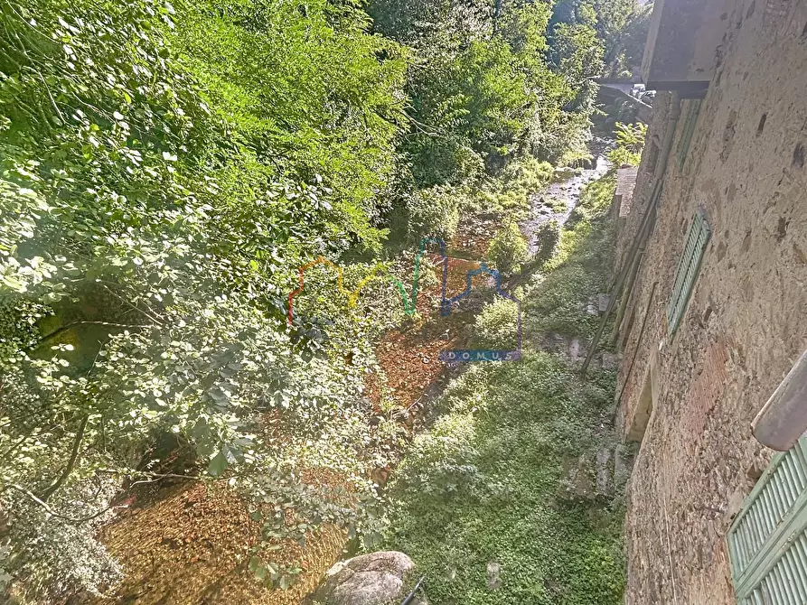 Immagine 9 di Terratetto in vendita  a Calci