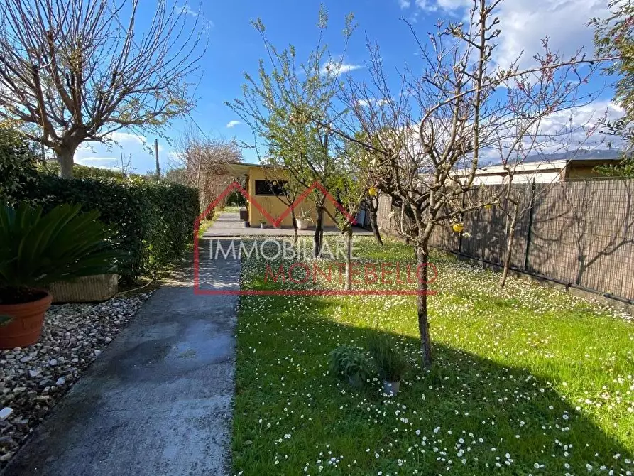 Immagine 6 di Villa in vendita  a Camaiore