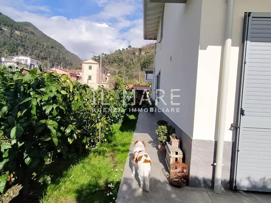 Immagine 20 di Villetta a schiera in vendita  a Massa