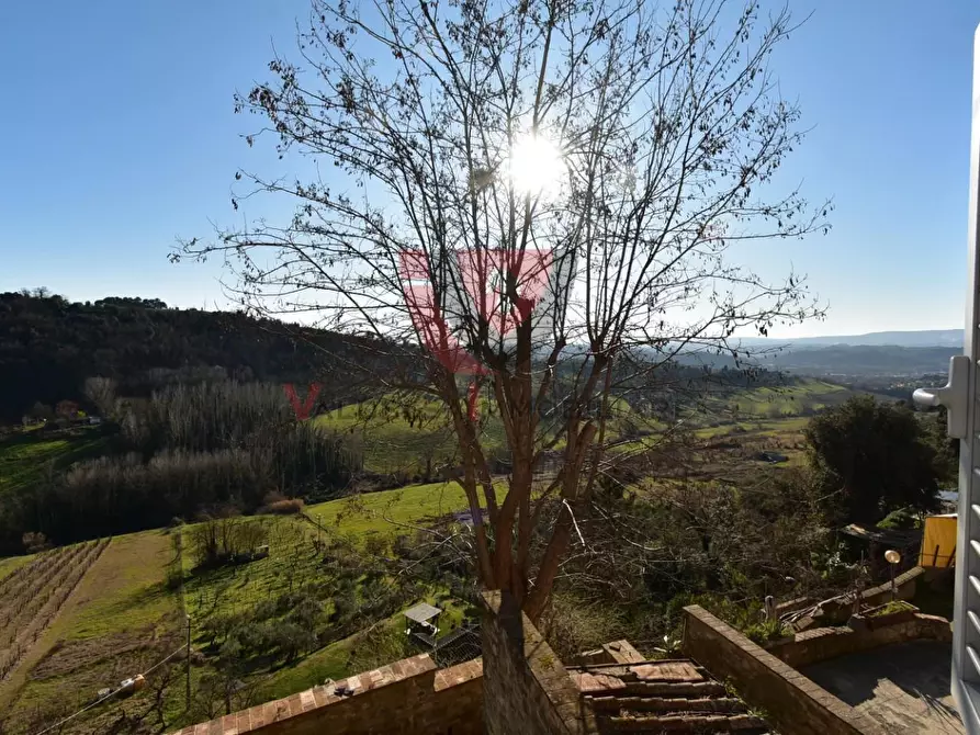 Immagine 5 di Appartamento in vendita  a Poggibonsi