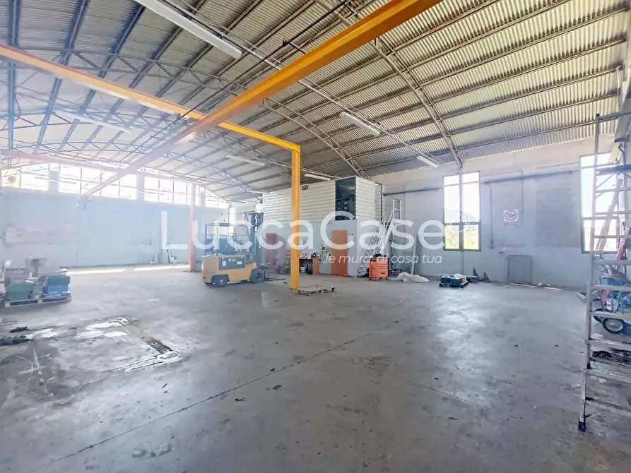 Immagine 3 di Attività artigianale in affitto  a Porcari