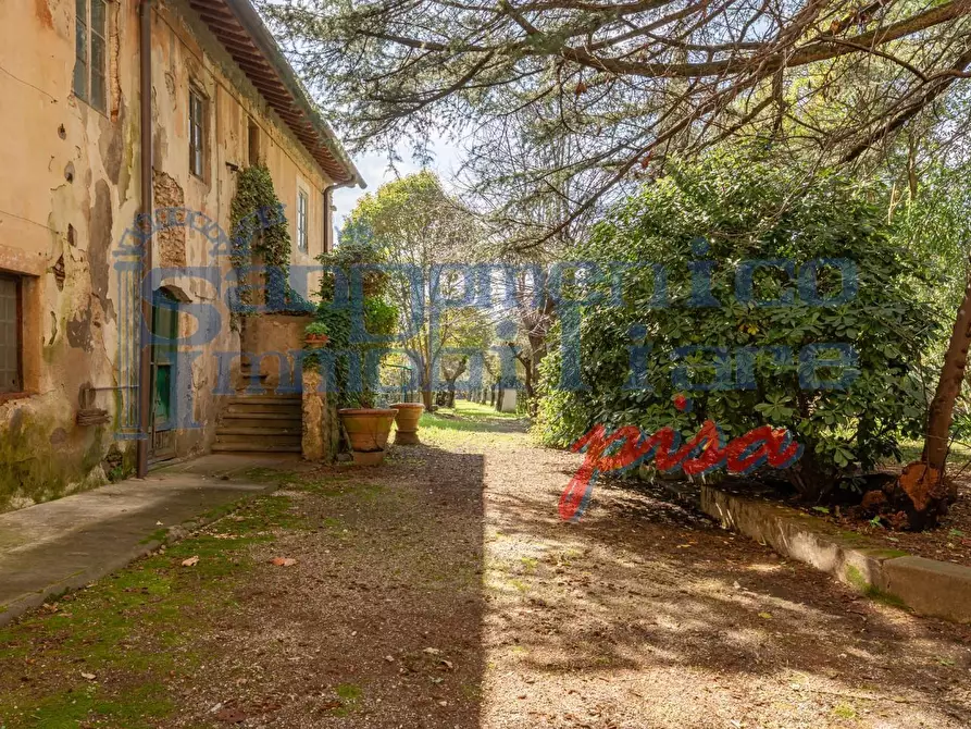 Immagine 4 di Villa in vendita  a Calci