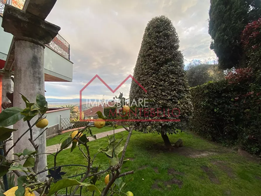 Immagine 12 di Casa bifamiliare in vendita  a Massarosa