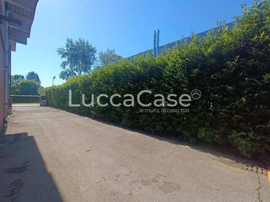 Immagine 8 di Attività artigianale in vendita  a Lucca