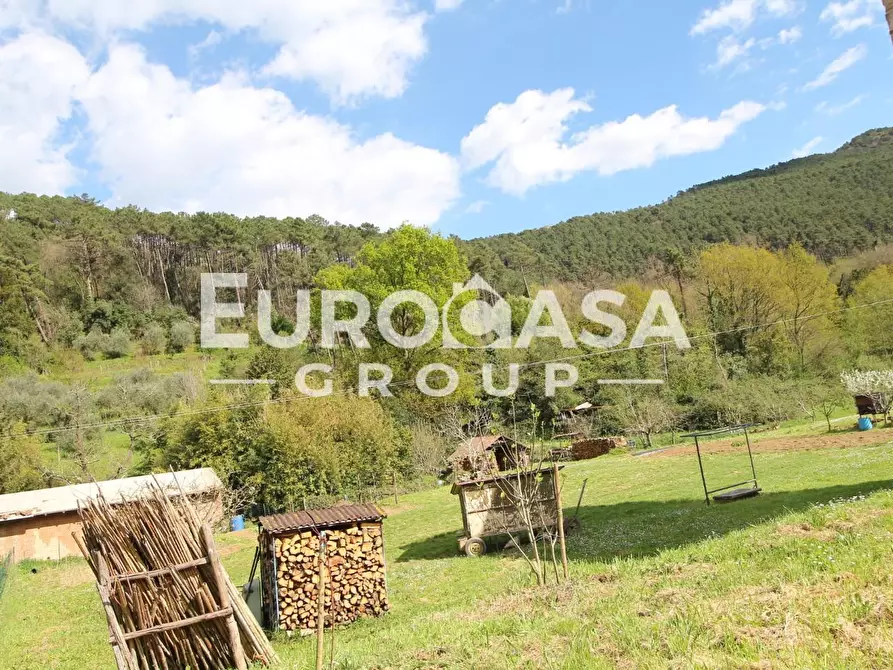 Immagine 4 di Villa in vendita  a Lucca