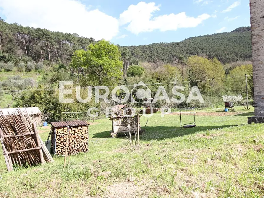 Immagine 3 di Villa in vendita  a Lucca
