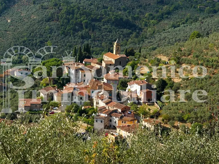 Immagine 46 di Bar / Ristorante in vendita  a Calci