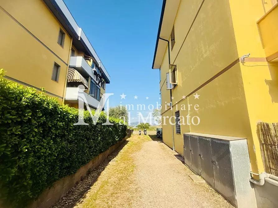 Immagine 2 di Appartamento in vendita  a Viareggio