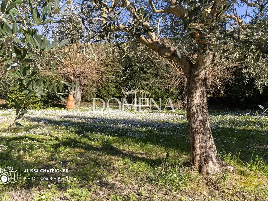 Immagine 43 di Casa indipendente in vendita  a Sovicille