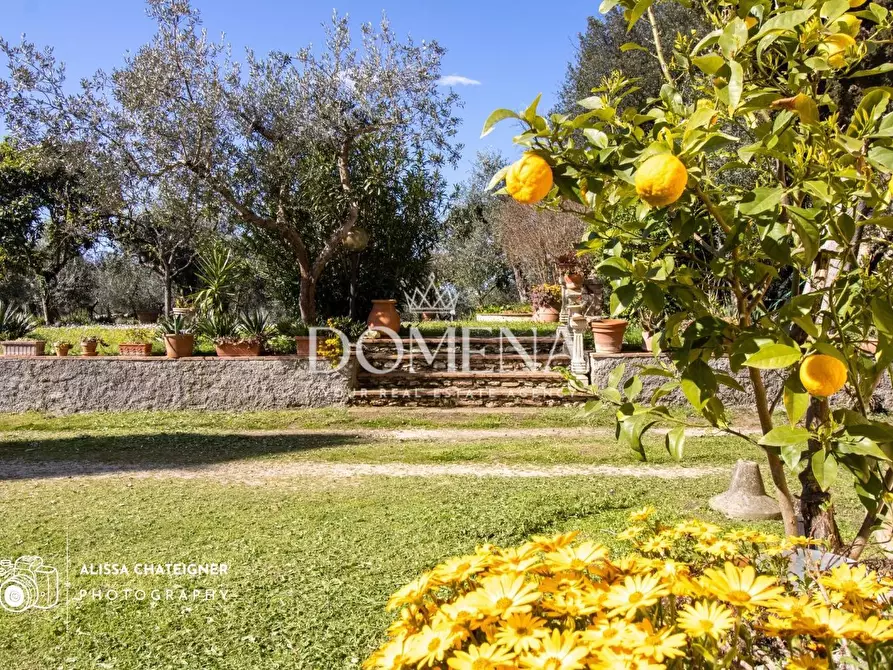 Immagine 10 di Villa in vendita  a Colle Di Val D'elsa