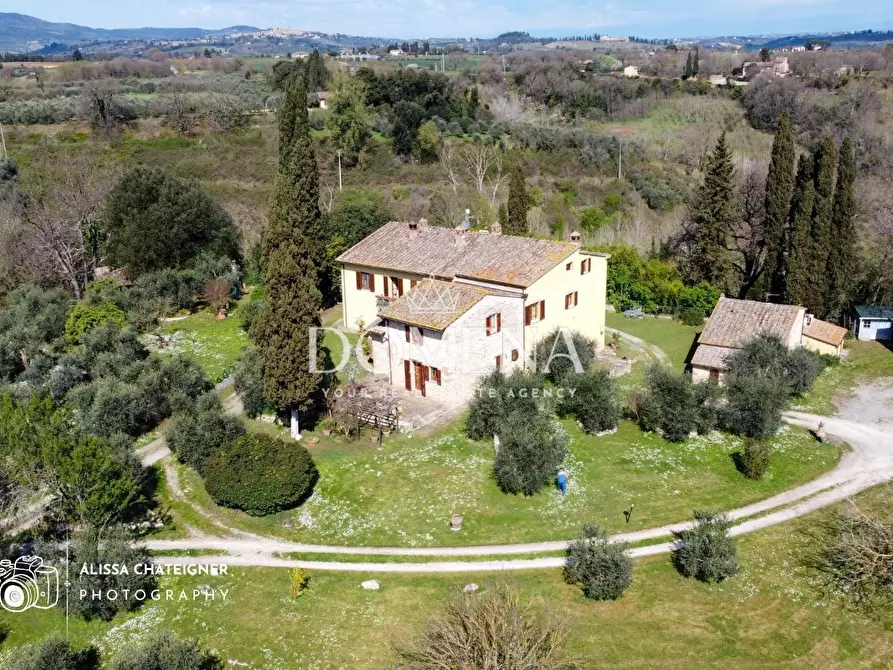 Immagine 6 di Villa in vendita  a Colle Di Val D'elsa