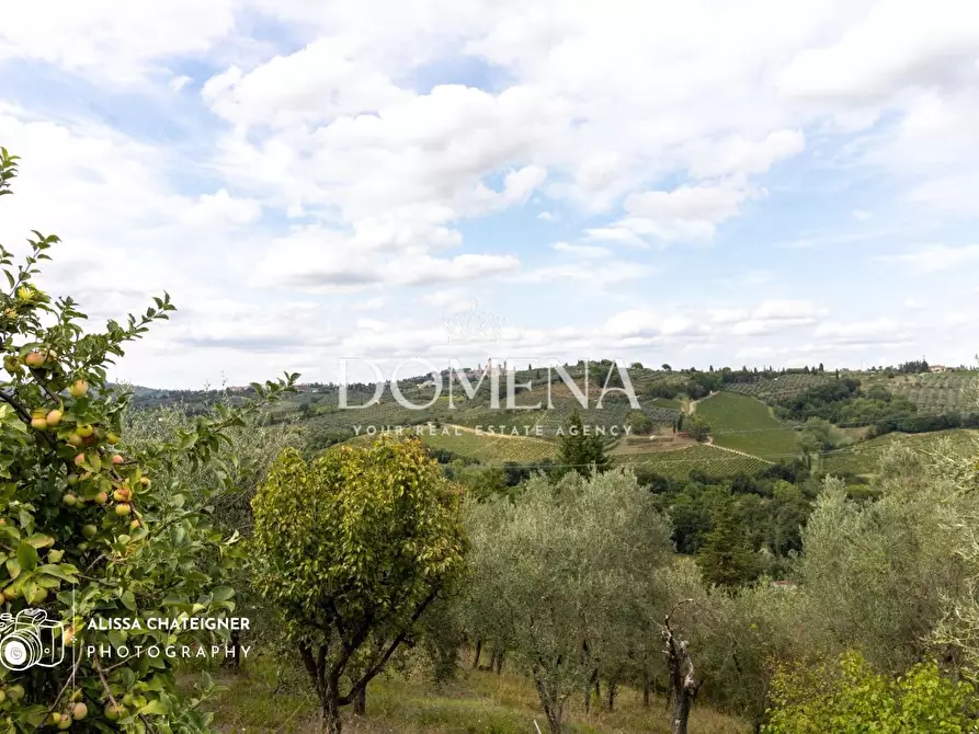 Immagine 34 di Casa colonica in vendita  a San Gimignano