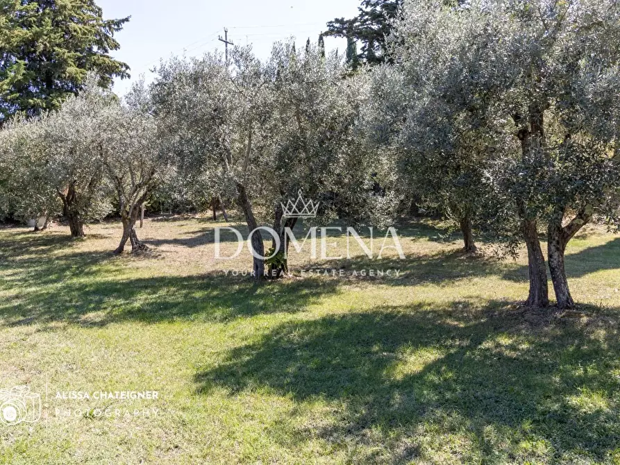 Immagine 2 di Casa colonica in vendita  a San Gimignano