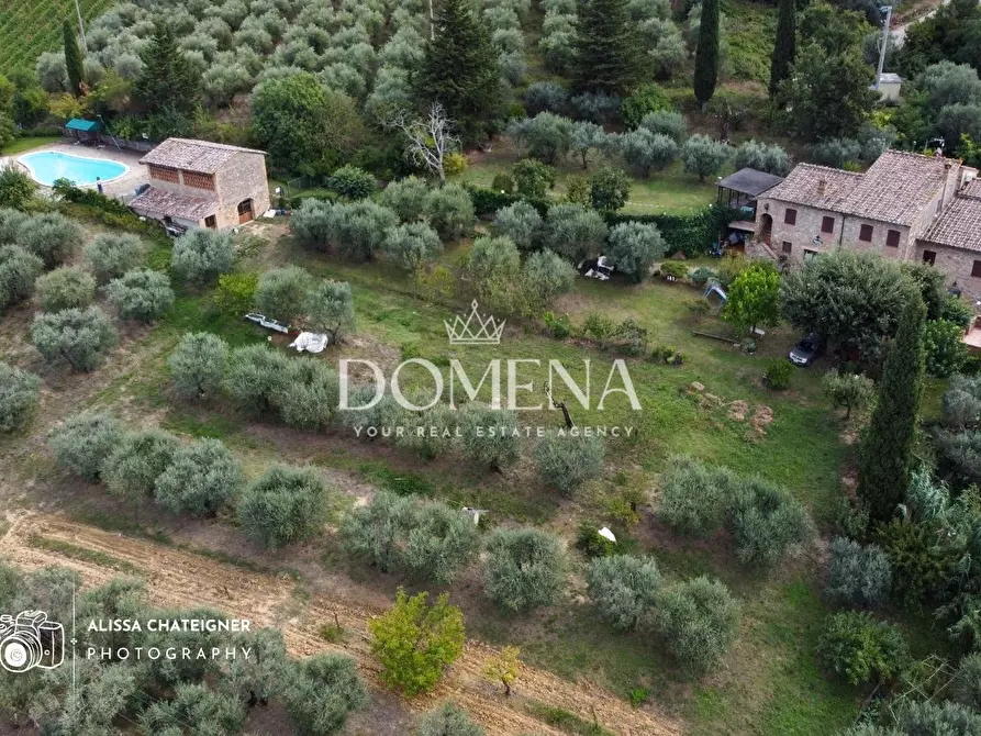 Immagine 42 di Casa colonica in vendita  a San Gimignano