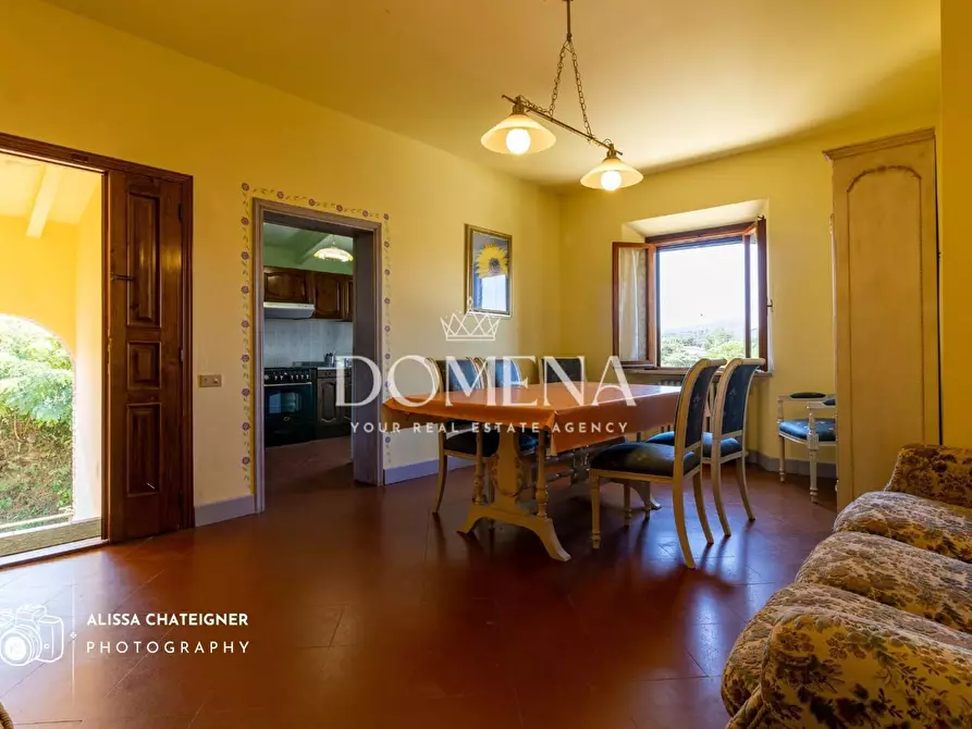 Immagine 21 di Casa colonica in vendita  a San Gimignano