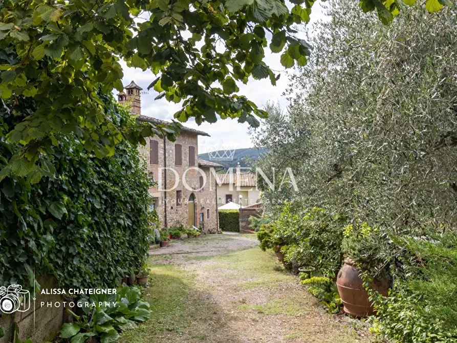 Immagine 1 di Casa colonica in vendita  a San Gimignano