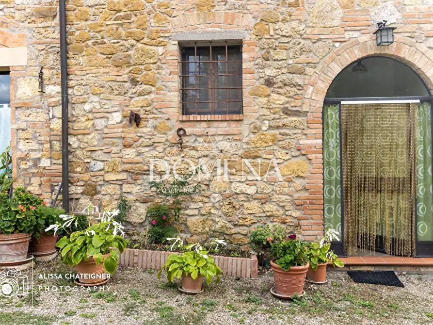 Immagine 39 di Casa colonica in vendita  a San Gimignano