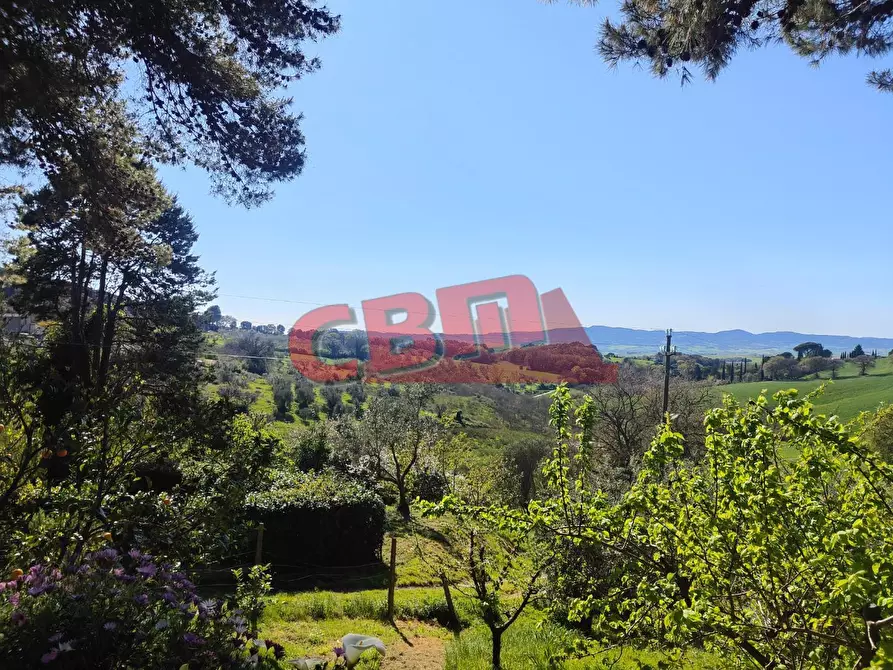 Immagine 4 di Appartamento in vendita  a Santa Luce