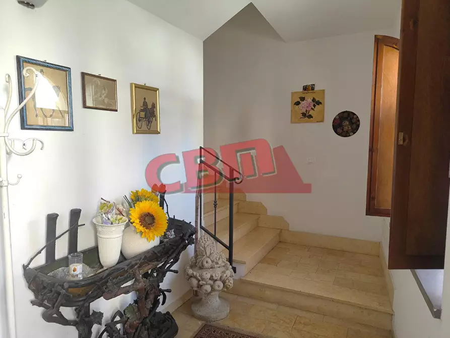 Immagine 24 di Appartamento in vendita  a Santa Luce