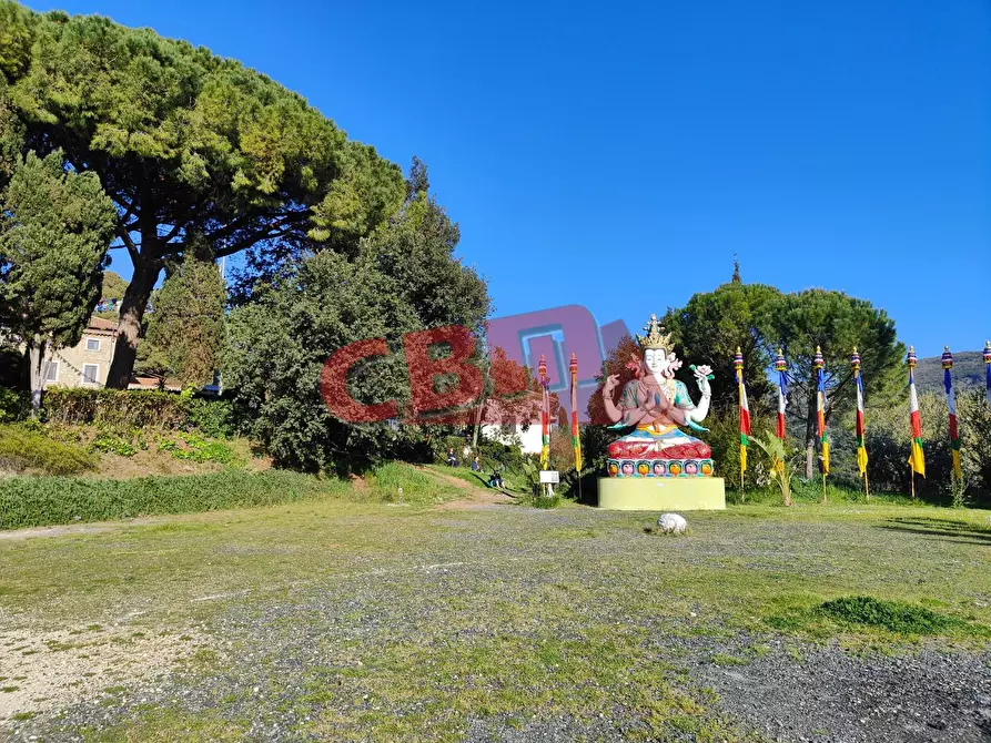 Immagine 33 di Appartamento in vendita  a Santa Luce