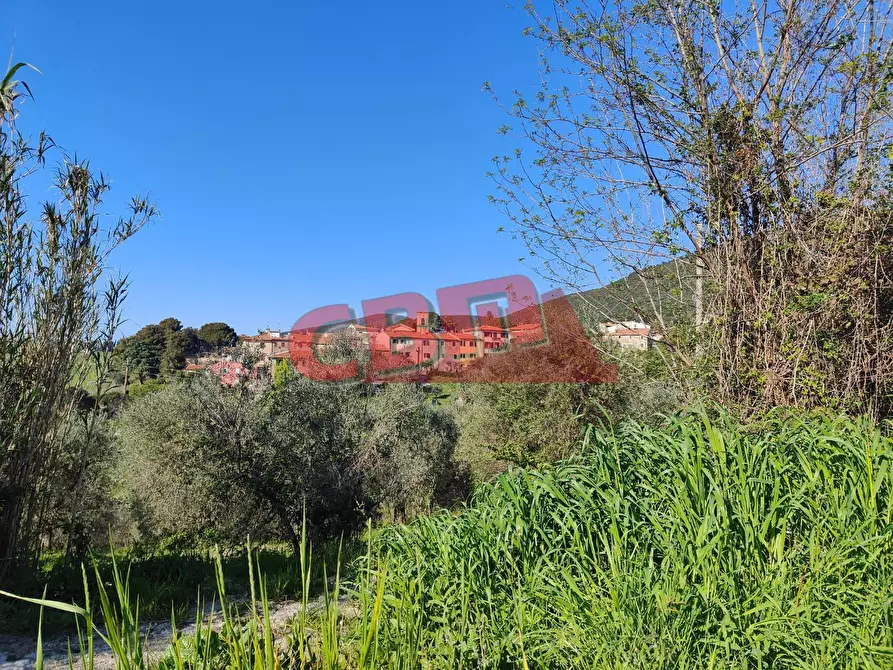 Immagine 29 di Appartamento in vendita  a Santa Luce