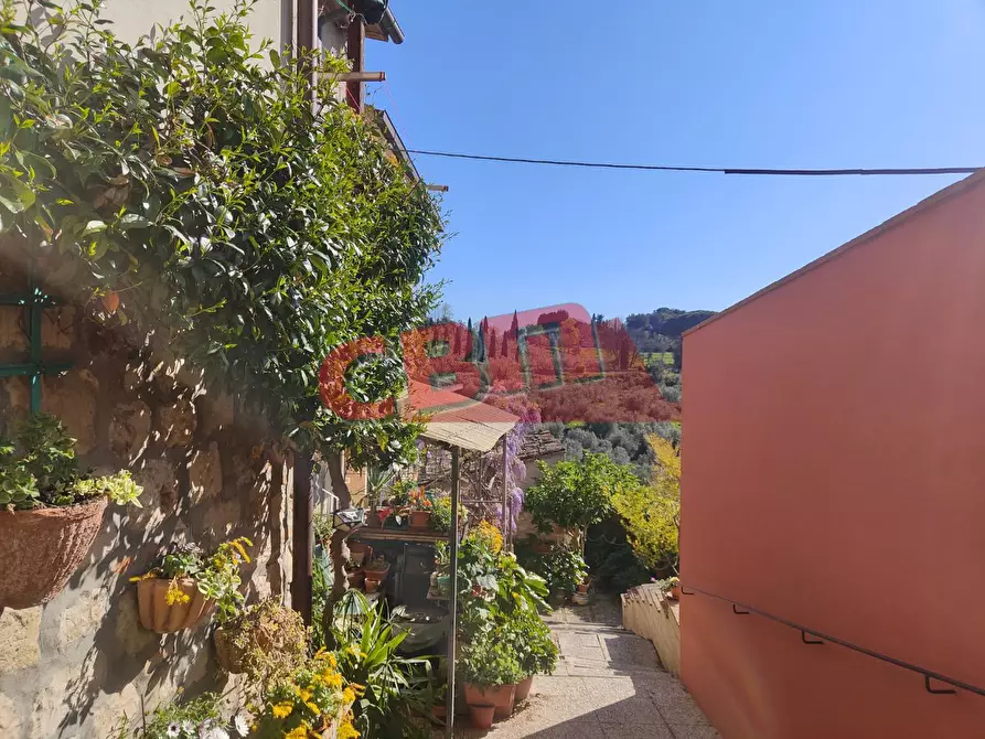 Immagine 28 di Appartamento in vendita  a Santa Luce