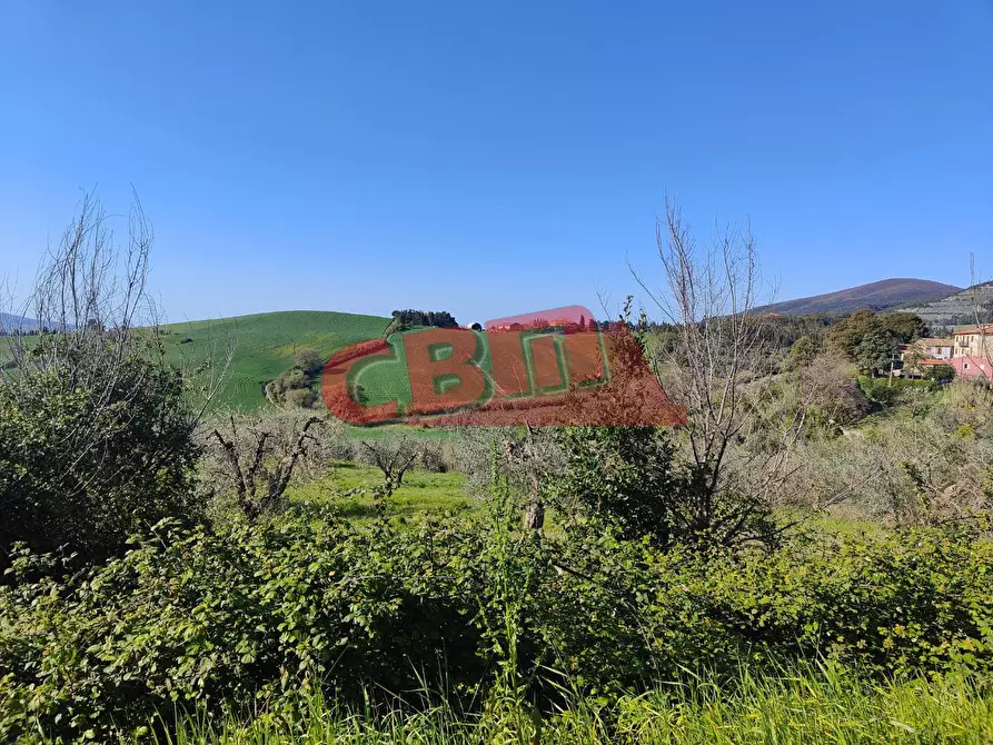 Immagine 34 di Appartamento in vendita  a Santa Luce