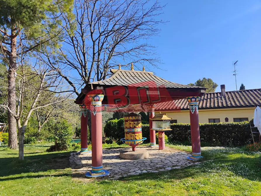 Immagine 31 di Appartamento in vendita  a Santa Luce